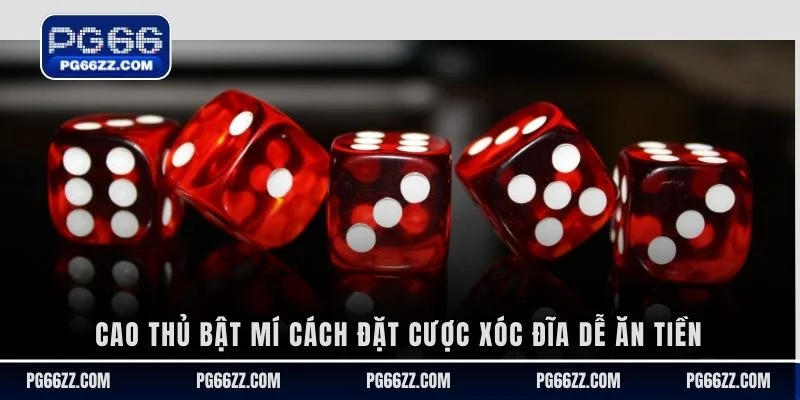 Cao thủ bật mí cách đặt cược xóc đĩa dễ ăn tiền