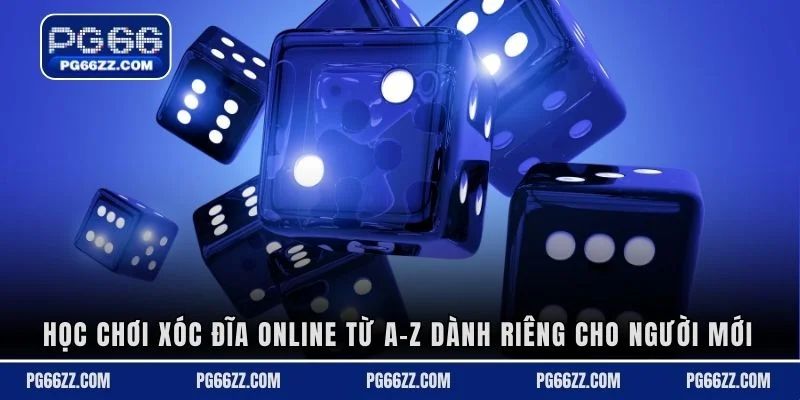 Học chơi xóc đĩa online từ A–Z dành riêng cho người mới