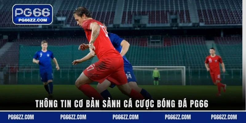 Thông tin cơ bản sảnh cá cược bóng đá PG66 