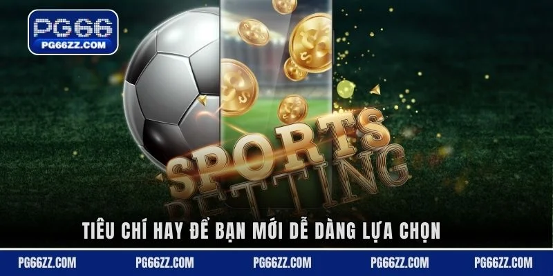 Tiêu chí hay để bạn mới dễ dàng lựa chọn
