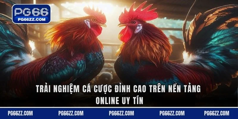 Trải nghiệm cá cược đỉnh cao trên nền tảng online uy tín