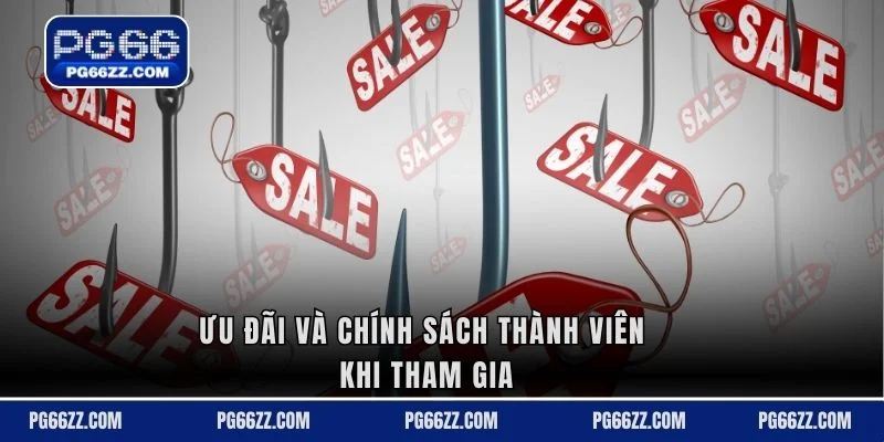 Ưu đãi và chính sách thành viên khi tham gia