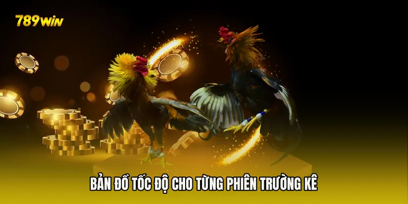 Bản đồ tốc độ cho từng phiên trường kê