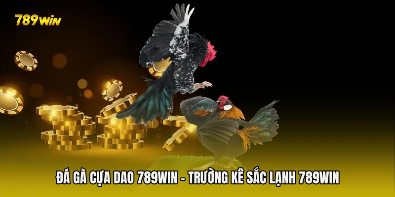 Đá Gà Cựa Dao 789win - Trường Kê Sắc Lạnh 789win