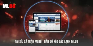 Tài Xỉu Cả Trận ML88 - Bản Đồ Kèo Sắc Lạnh ML88